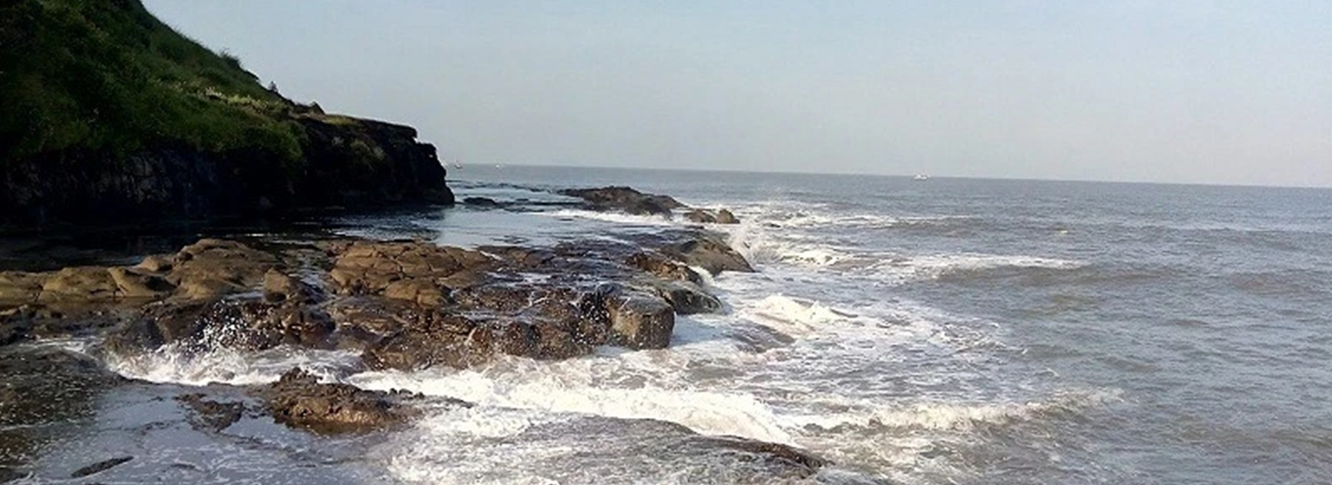 Blog 1